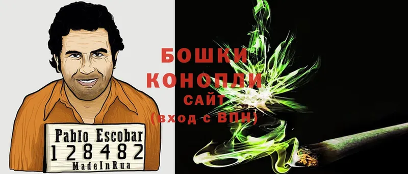 Марихуана Bruce Banner  продажа наркотиков  KRAKEN зеркало  Новозыбков 